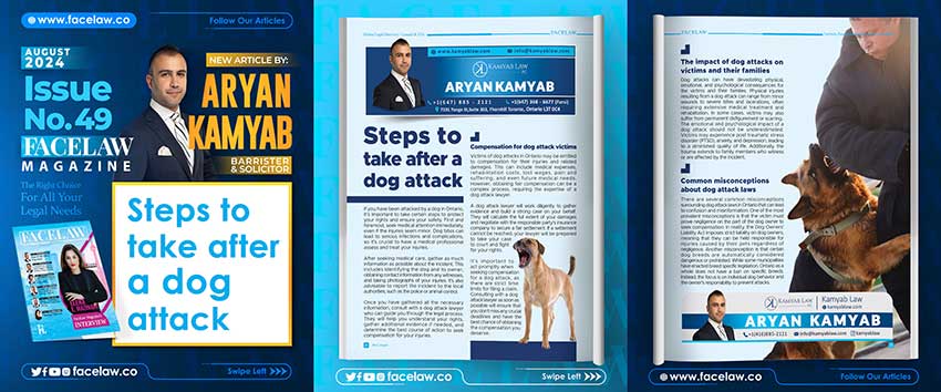 Steps to take after a dog attack
