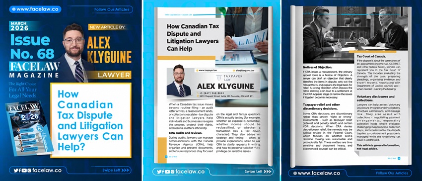 How Canadian Tax Dispute and Litigation Lawyers Can Help